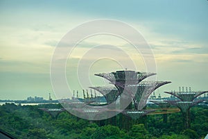 Singapore - Oct 14, 2018: Super Trees in Gardens by the Bay from the flower dome green house