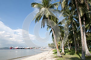 Singapore Paser Ris beach