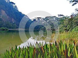 Singapore Quarry lake in Bukit Timah nature reserve