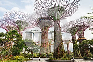 Singapore's Gardens by the Bay