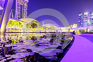 Singapore, September 29: Night view on business district in Singapore. Singapore skyline in the evening. View on night Marina Bay