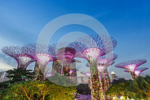 SINGAPORE-September 25th 2017 :Night view of super tree grove in Garden Rhapsody