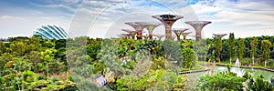 SINGAPORE, SINGAPORE - MARCH 2019: aerial view of Singapore City skyline with Gardens by the Bay