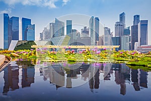 Singapore skyline of business district and Marina Bay in day, foreground with lotus pond