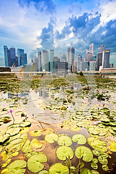 Singapore skyline and Marina Bay district