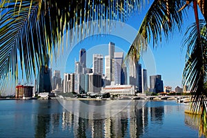 Singapore skyline and palmleafs