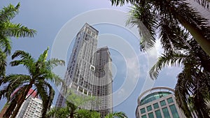 Singapore Skyscrapers and Palm Trees