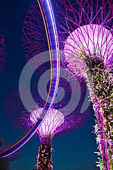 Singapore Super Trees During the Blue Hour