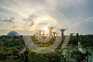 Singapore Supertrees in garden by the bay in moring at Bay South