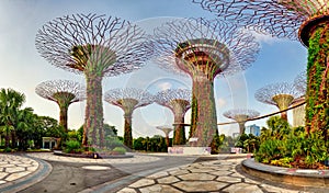 Singapore Supertrees in garden by the bay at Bay South Singapore photo