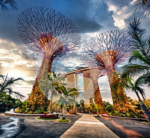 Singapore Supertrees in garden by the bay at Bay South Singapore