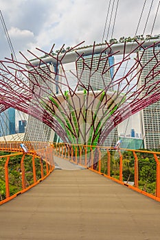 Singapore Supertrees