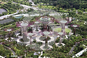 Singapore Supertrees