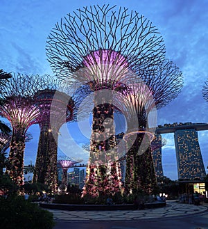 Singapore Supertrees photo