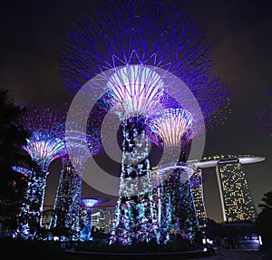 Singapore Supertrees photo