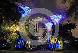 Singapore Supertrees photo