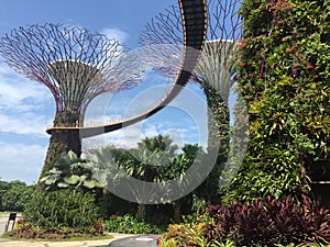 Singaporeâ€˜s Gardens by the Bay sweeping curves and modern achitecture mixed with lush gardens