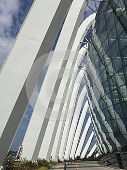 Singaporeâ€™s modern architecture at the flower dome