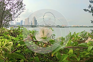 Singapur photo