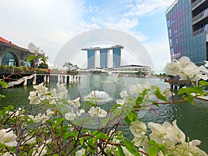 Singapur photo