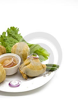 Singara over on white background