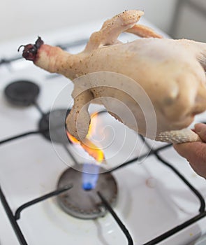 Singeing chicken on fire