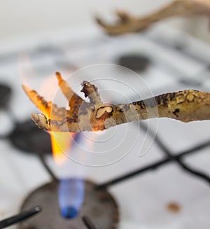 Singeing chicken on fire