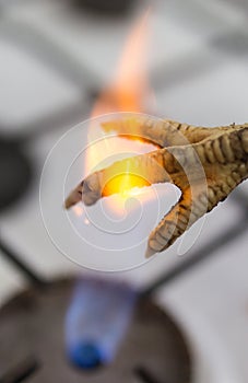 Singeing chicken on fire