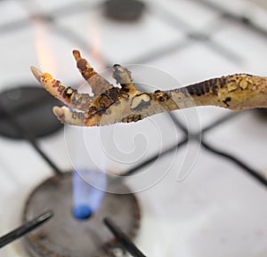 Singeing chicken on fire