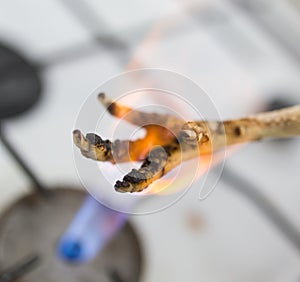 Singeing chicken on fire