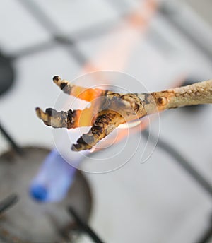 Singeing chicken on fire