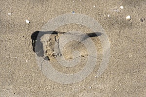 Singel footprint on sand beach