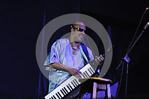 Singer Stevie Wonder