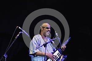 Singer Stevie Wonder