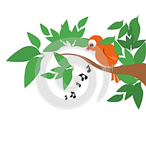 Singing bird on tree