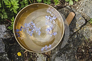 Singing bowl with floating flowers