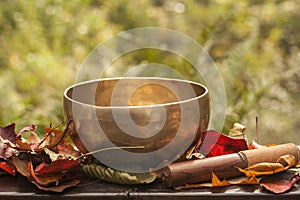 Singing bowl made of seven metals surrounded of colorful autumn