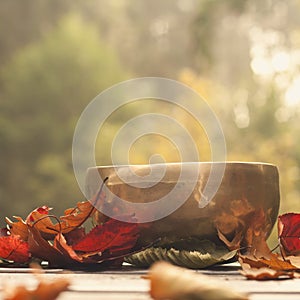 Singing bowl made of seven metals surrounded of colorful autumn