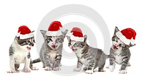 Singing Christmas Kittens Wearing Red Hat