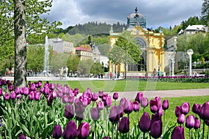 Singing fountain, spa Marianske lazne, Czech republic