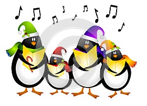 Spev tučniak koledníci 