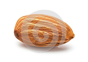 A single almond in its shell against a white background