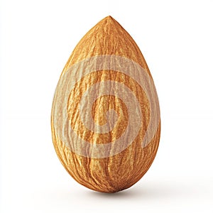 Single Almond Nut Macro Close up Photography Healthy Snack Food Isolated on White Background
