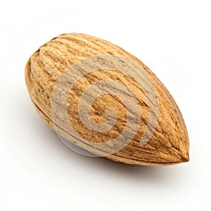 A single almond shell isolated on white