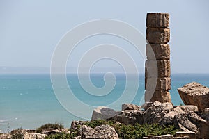 Single ancient doric greek column, selinunte