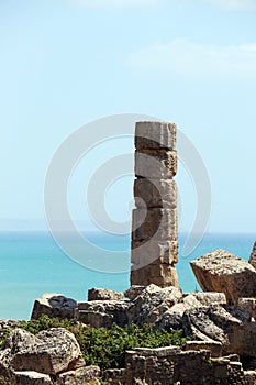 Single ancient doric greek column, selinunte