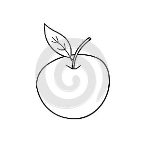 Single apple black and white illustration