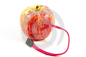 Single apple with computer cable plugged in it