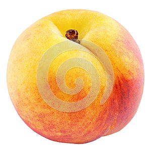 Single apricot fruit isolated on white