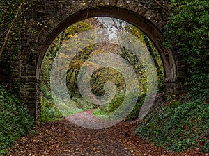 Single arch old bridge on the Tarka Trail in north Devon. Autumn.